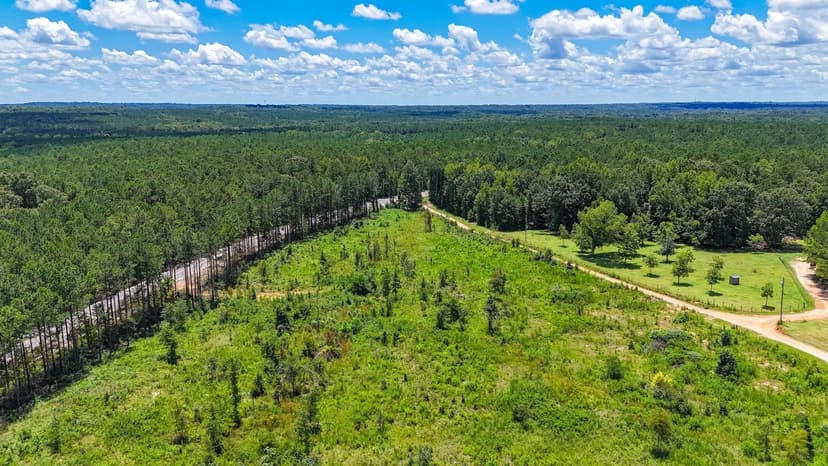 10 +/- Acre Homesite in Lee County
