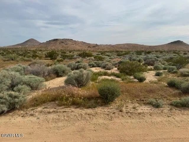 Lots & Land-Other in Rosamond - Rosamond, California, 93560