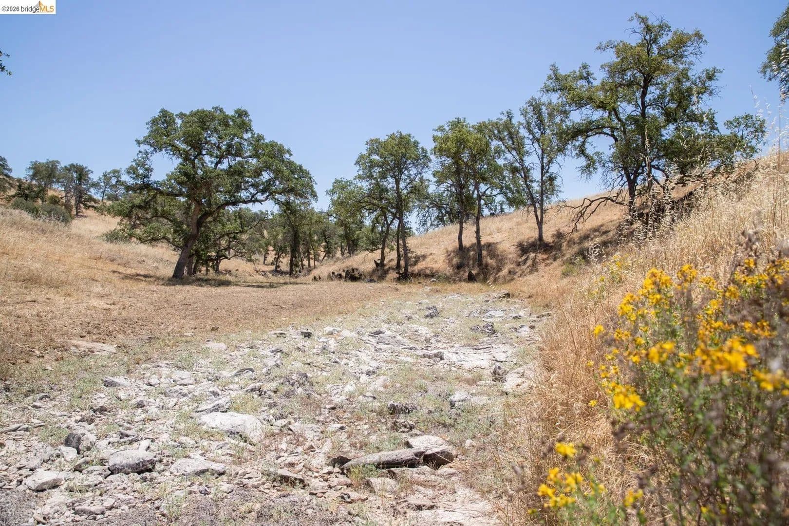 Lots & Land-Other in La Grange - La Grange, California, 95329