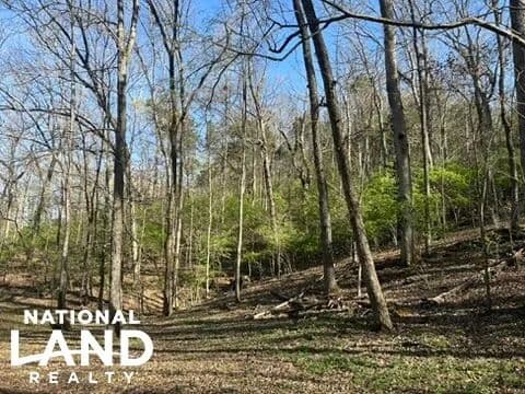 Private Wooded Lot Minutes to Chattanooga - Hixson, Tennessee, 37343
