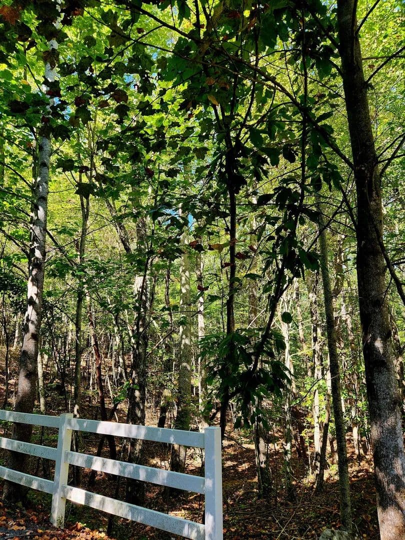 Property from 0 Ridge Wood Lane #392 - KW