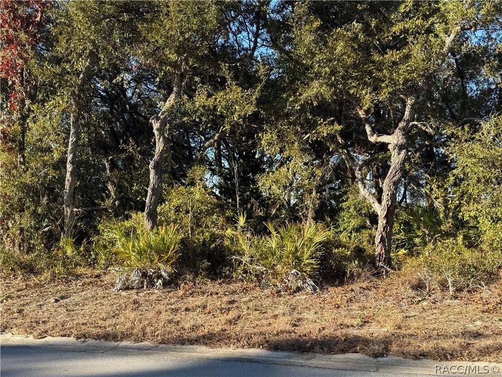 Lots & Land-Other in Homosassa - Homosassa, Florida, 34446