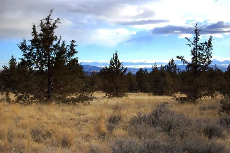 Vacant Land in Prineville