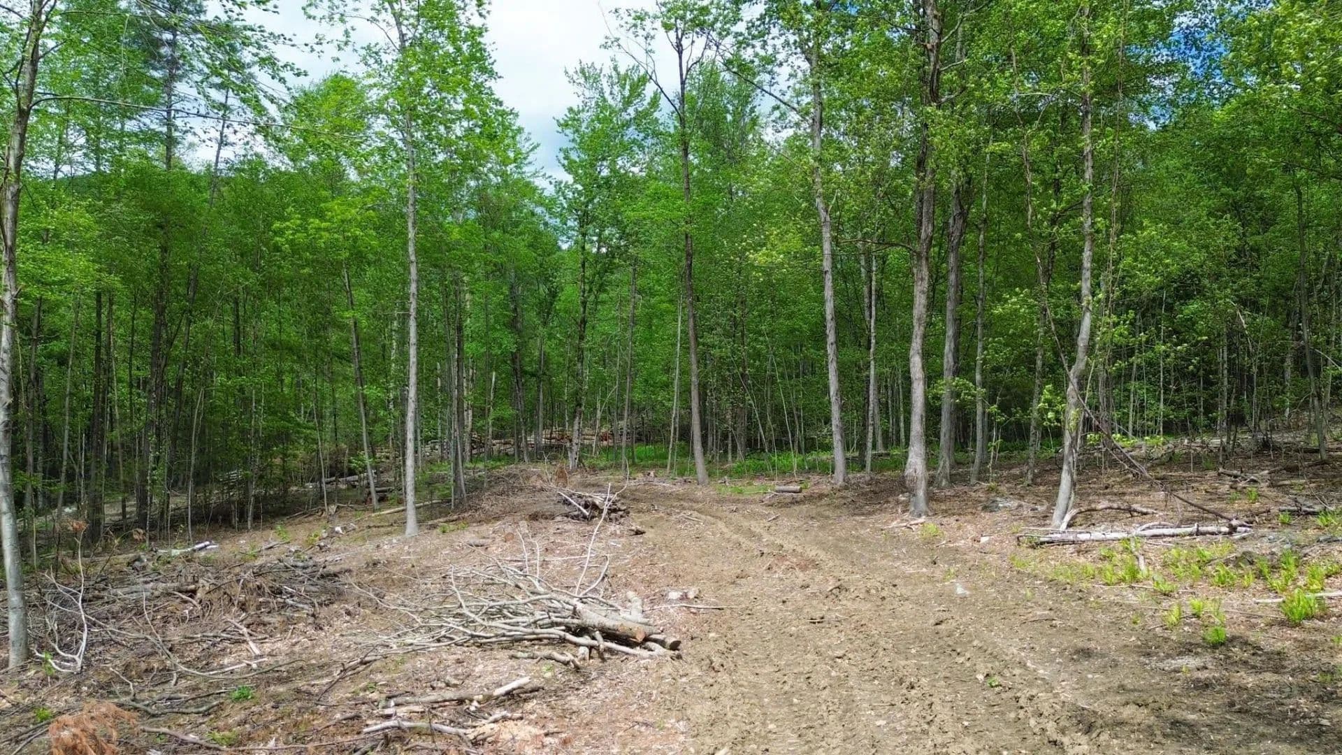 Vacant Land in Hinsdale - Hinsdale, New Hampshire, 03451