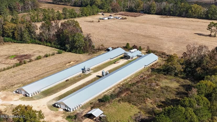 Income-Producing Poultry Farm in Silver Creek, Mississippi