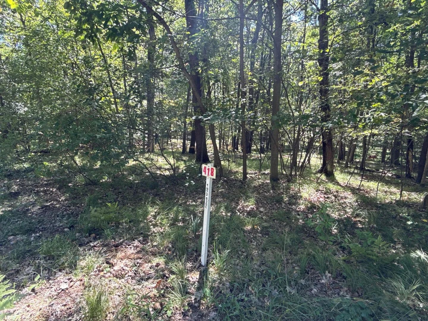 Lots & Land-Other in Stanwood - Stanwood, Michigan, 49346