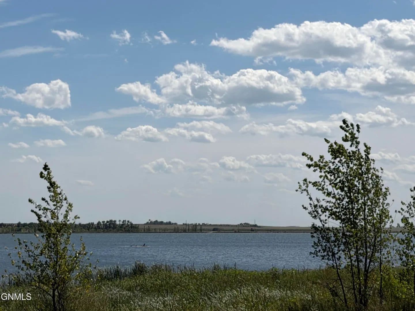 Vacant Land in Pettibone - Pettibone, North Dakota, 58475