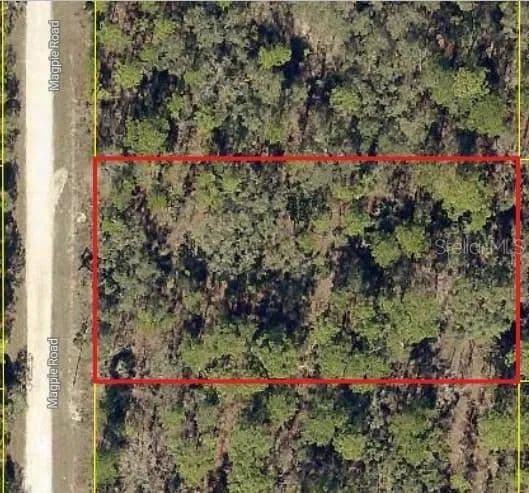 1 Acre of Land for Sale in WEEKI WACHEE, FL - Weeki Wachee, Florida, 34614