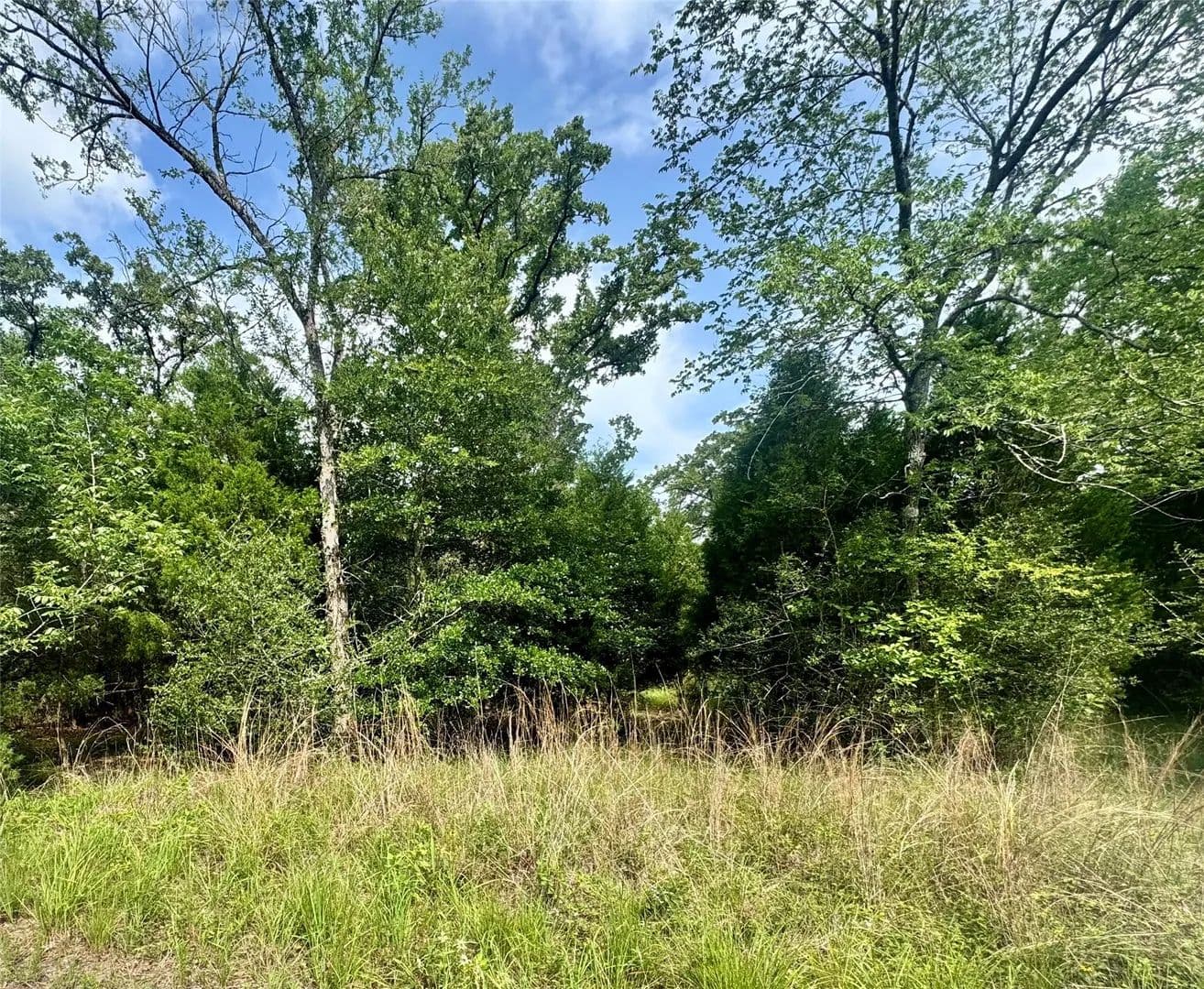 0.06 Acres of Land for Sale in Log Cabin, TX - Log Cabin, Texas, 75148