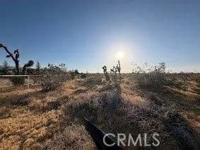 Lots & Land-Other in Pinon Hills - Pinon Hills, California, 92372