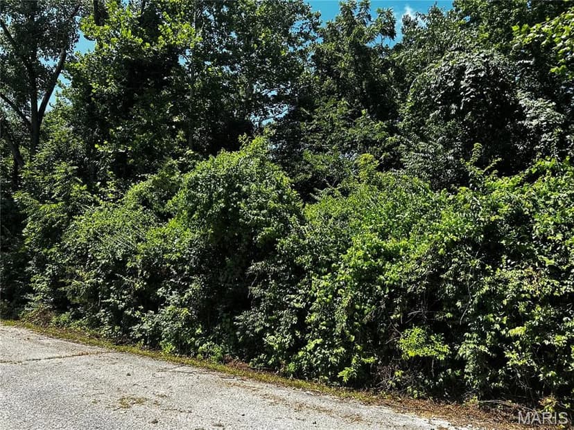 Vacant Land in Unincorporated