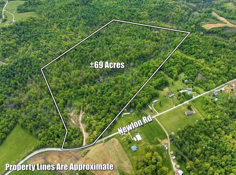 Newlon Rd - 69 acres