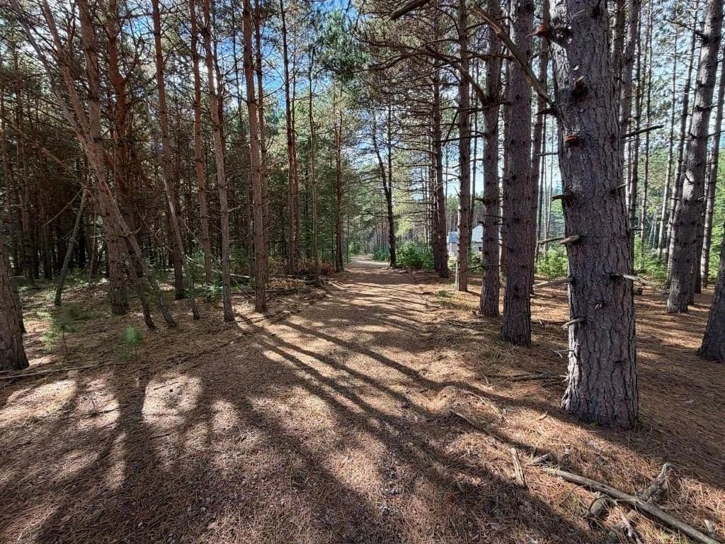 Vacant Land (0-10 Acres) in Eagle River - Eagle River, Wisconsin, 54521
