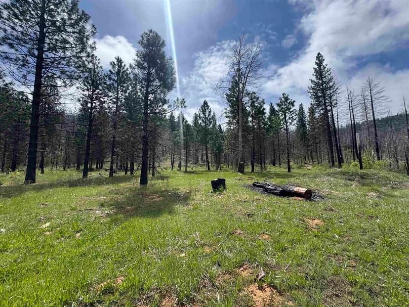Vacant Land in Greenville