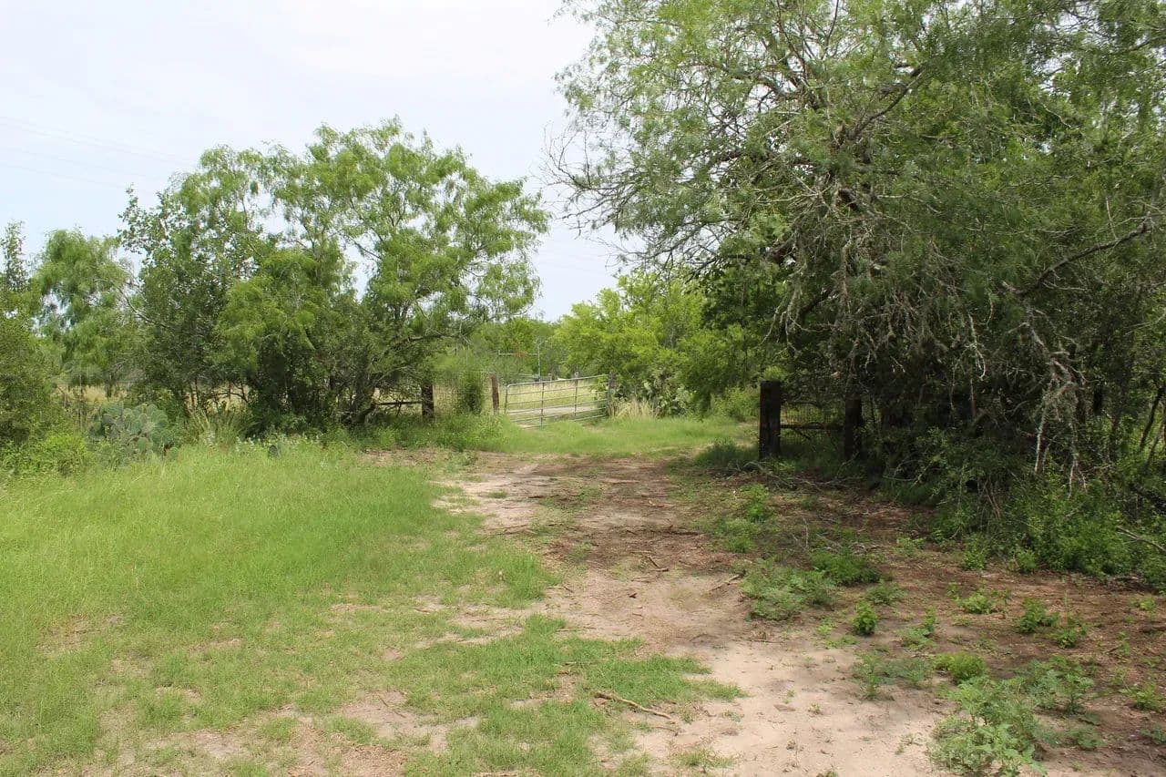 Affordable South Texas Homesite with Owner Financing Available - Goliad, Texas, 77963