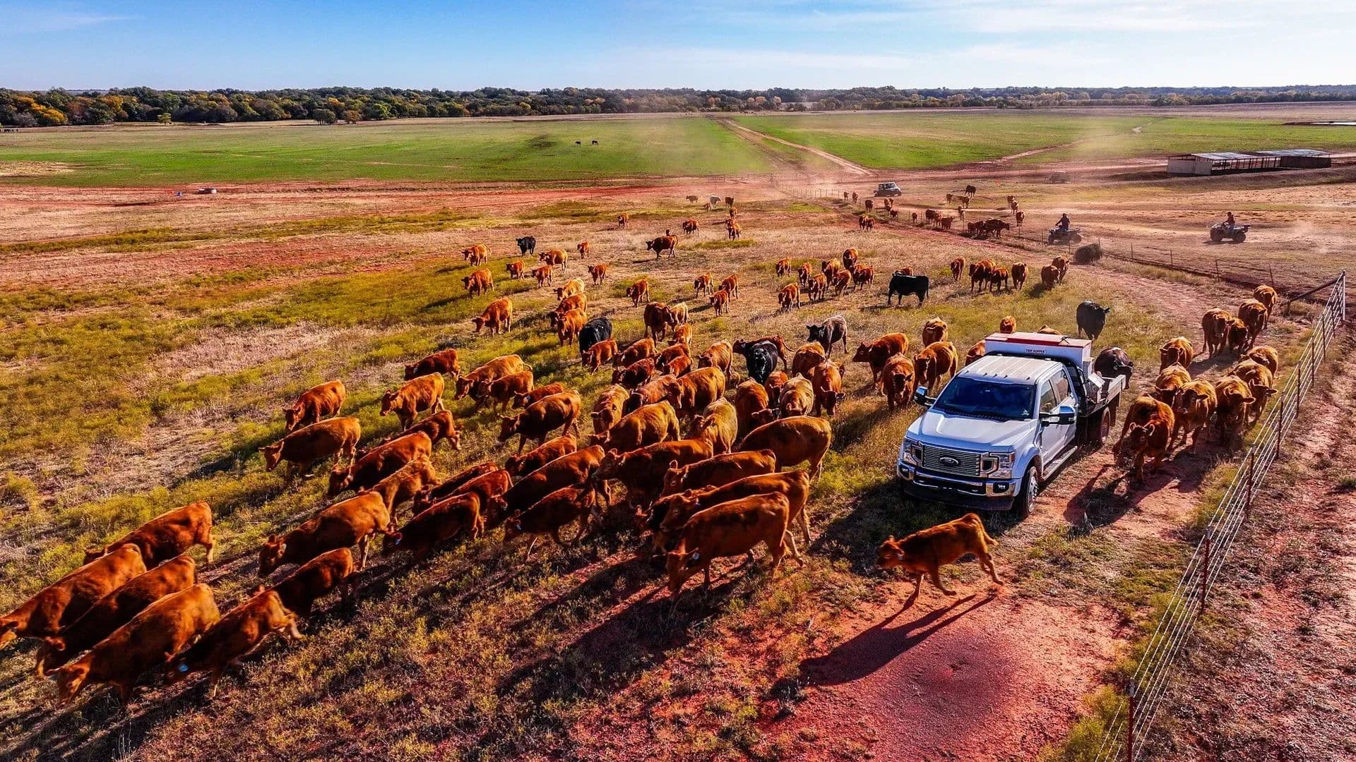 795 Acres of Land for Sale in Walters, OK - Walters, Oklahoma, 73572