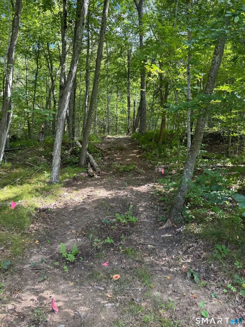 Vacant Land in East Haddam - East Haddam, Connecticut, 06423
