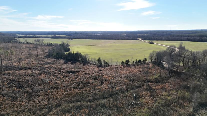 94.69 Acres in Prentiss County, MS