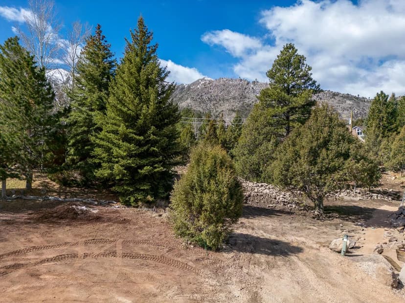 Vacant Land in Pine Valley
