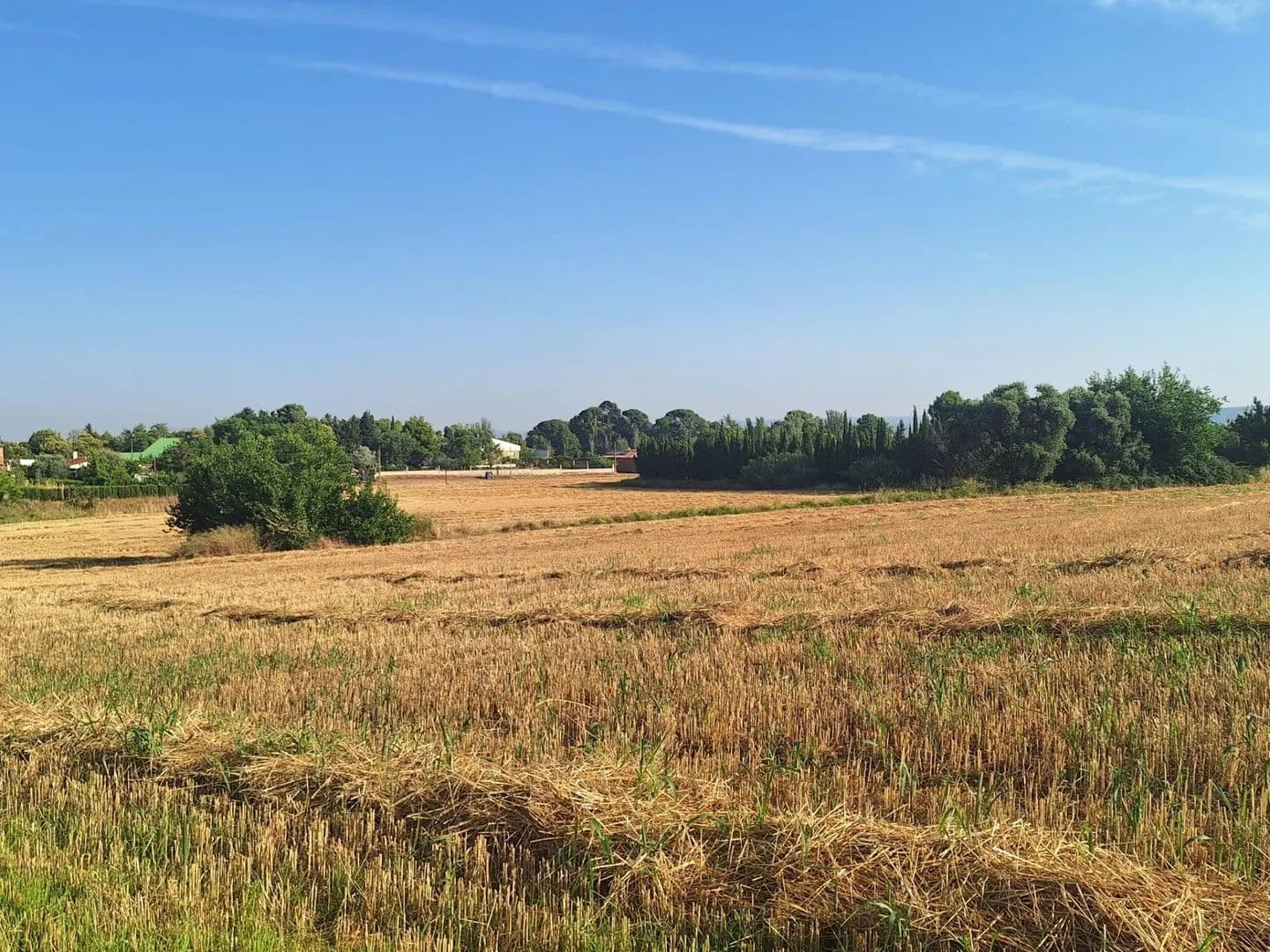 Land for Sale in Zaragoza, ZARAGOZA - 50190