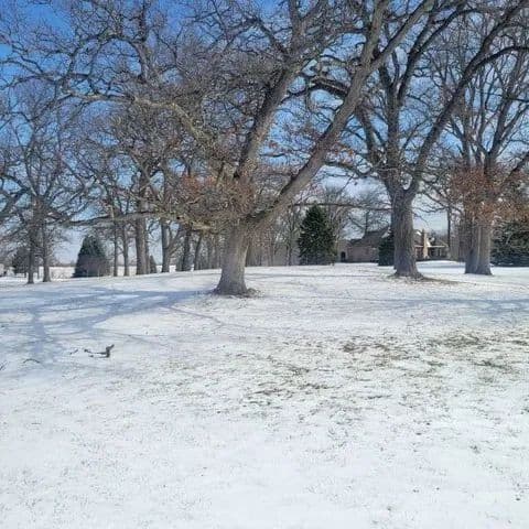 Land -Single Family Acreage in Elgin - Elgin, Illinois, 60124