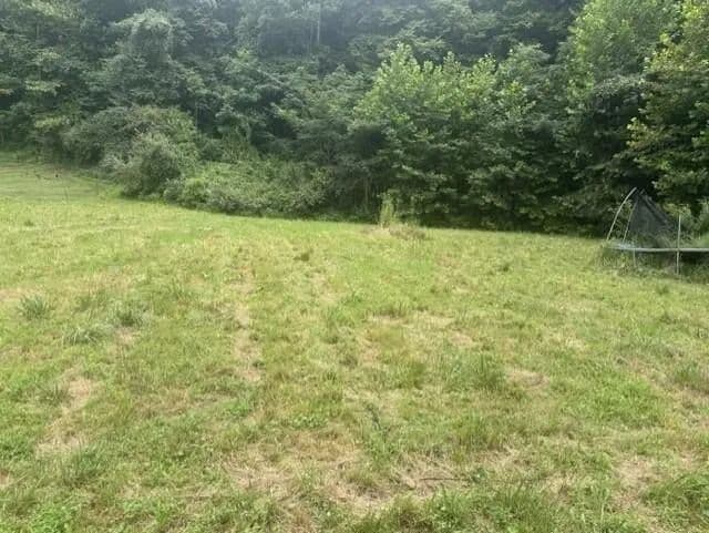 Lots & Land-Other in Pikeville - Pikeville, Kentucky, 41501