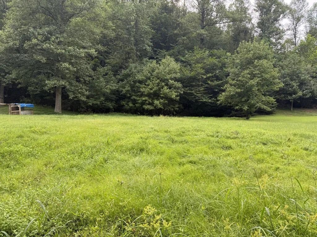 Lots & Land-Other in Sitka - Sitka, Kentucky, 41255