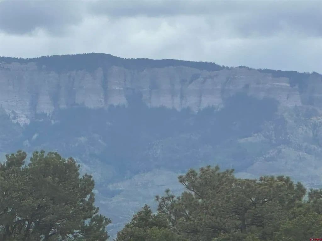 Vacant Land in Ridgway - Ridgway, Colorado, 81432