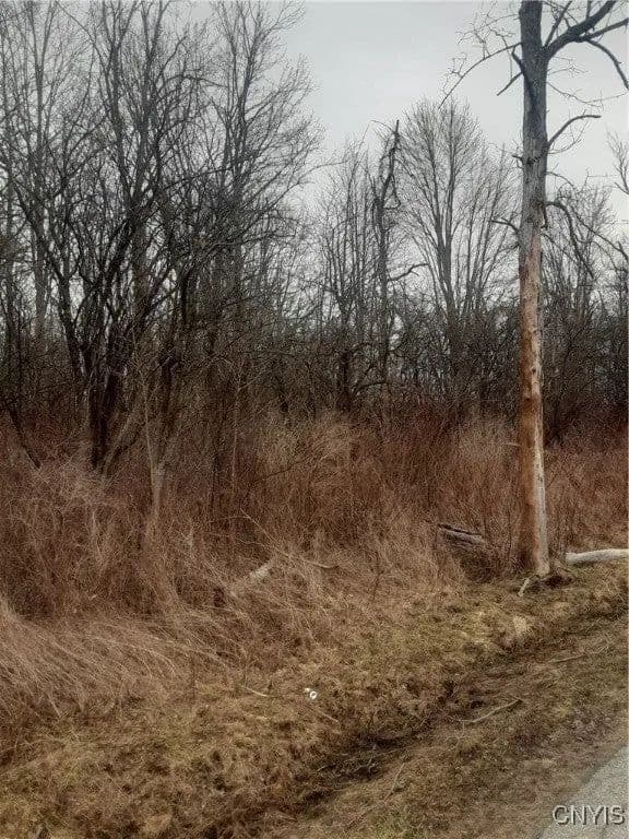 Lots & Land-Other in Canastota