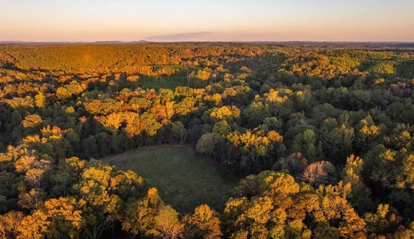 133 Acres in Shelby County