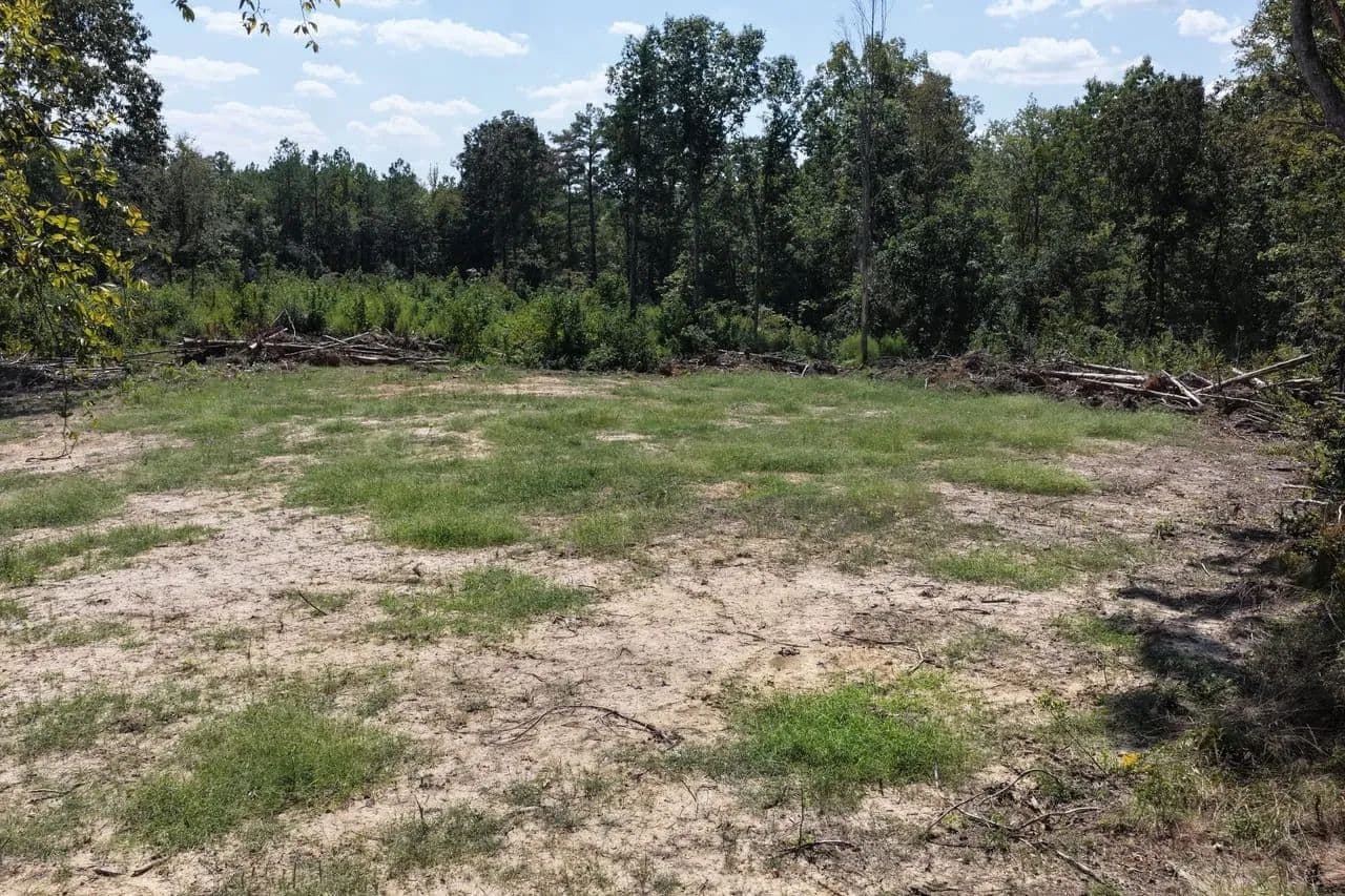 Carter Branch Lot 5 - Tishomingo, Mississippi, 38873