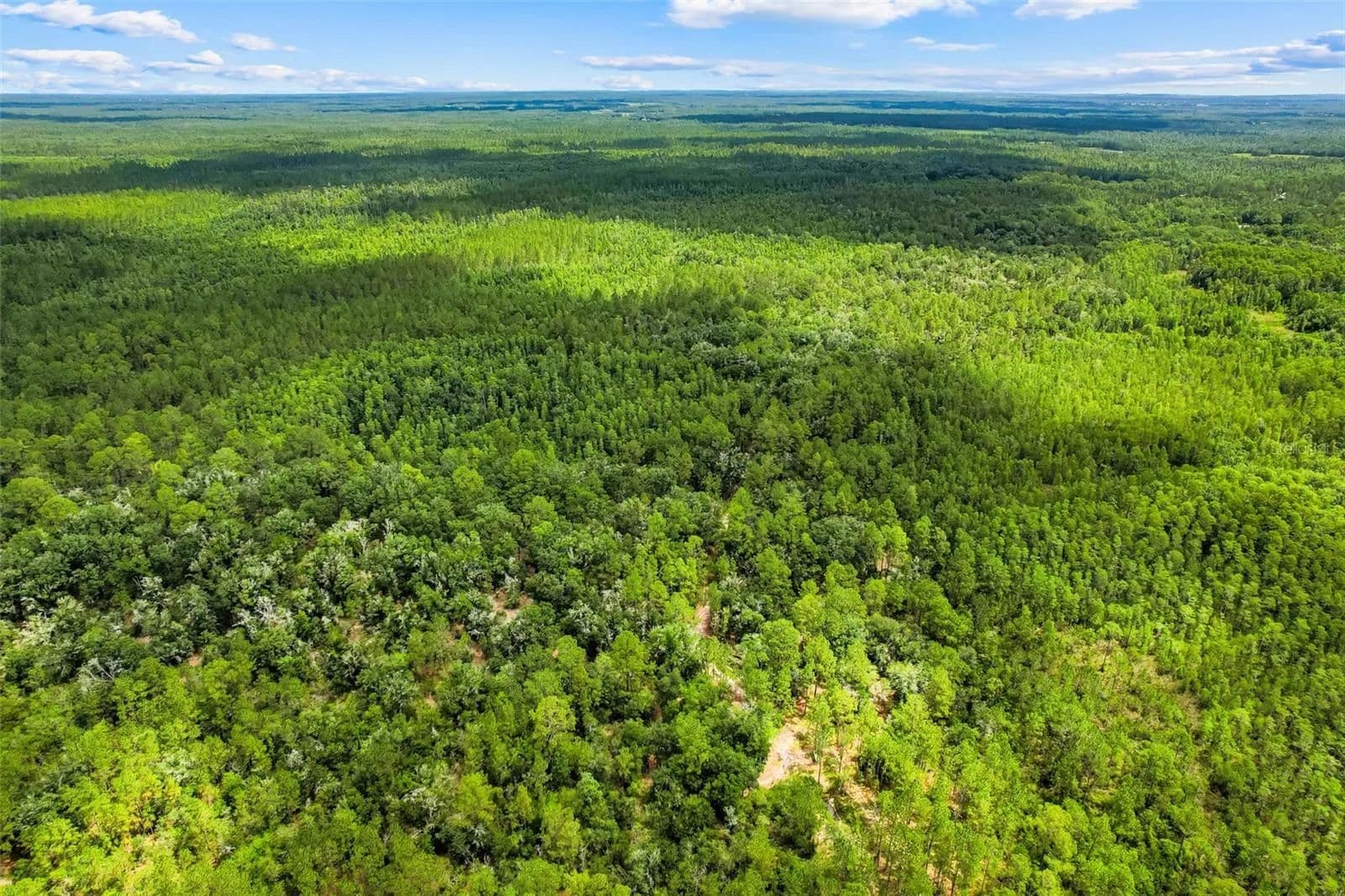 6.64 Acres of Land for Sale in CLERMONT, FL - Clermont, Florida, 34711