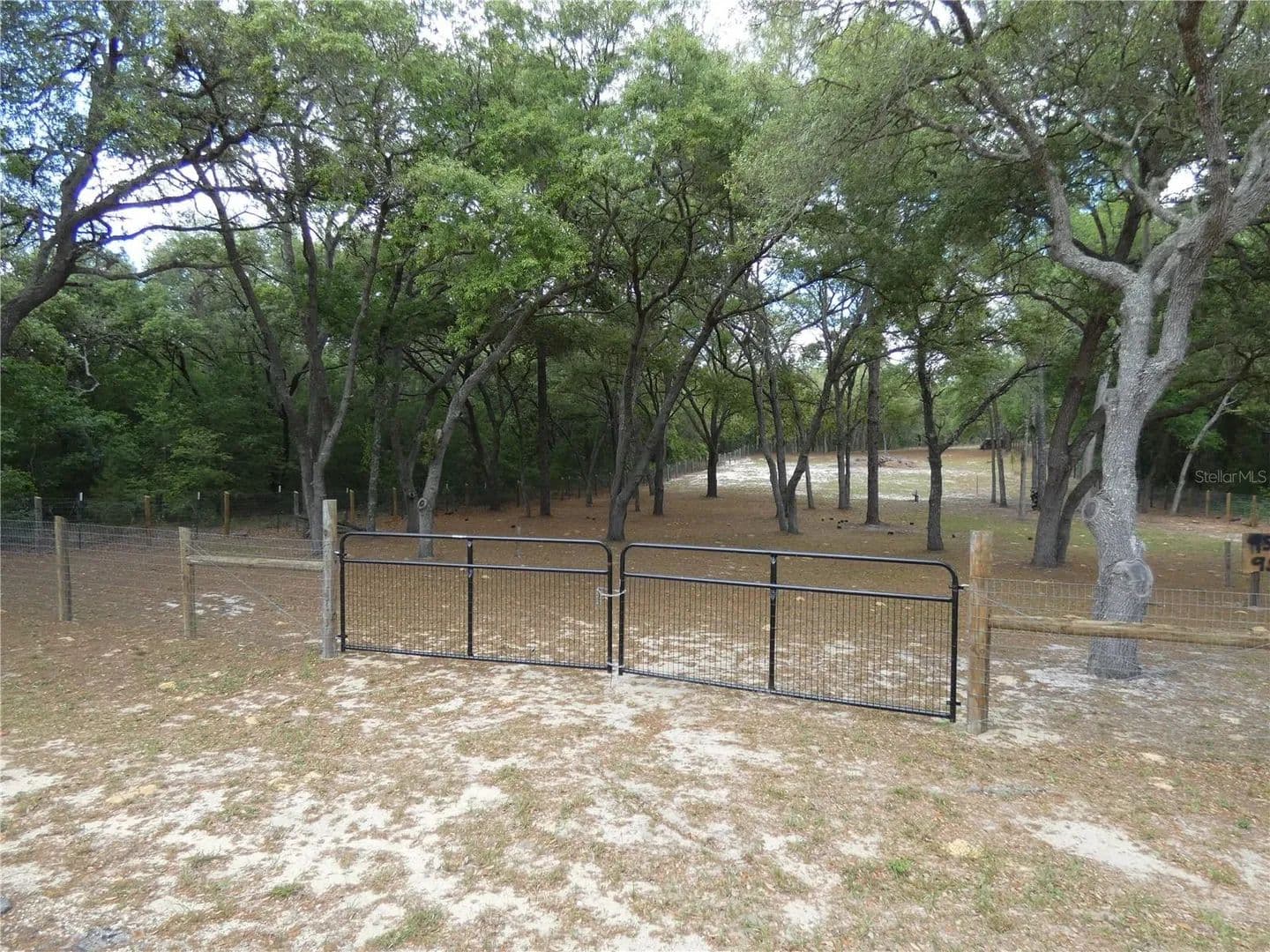 Lots & Land-Other in DUNNELLON - Dunnellon, Florida, 34431