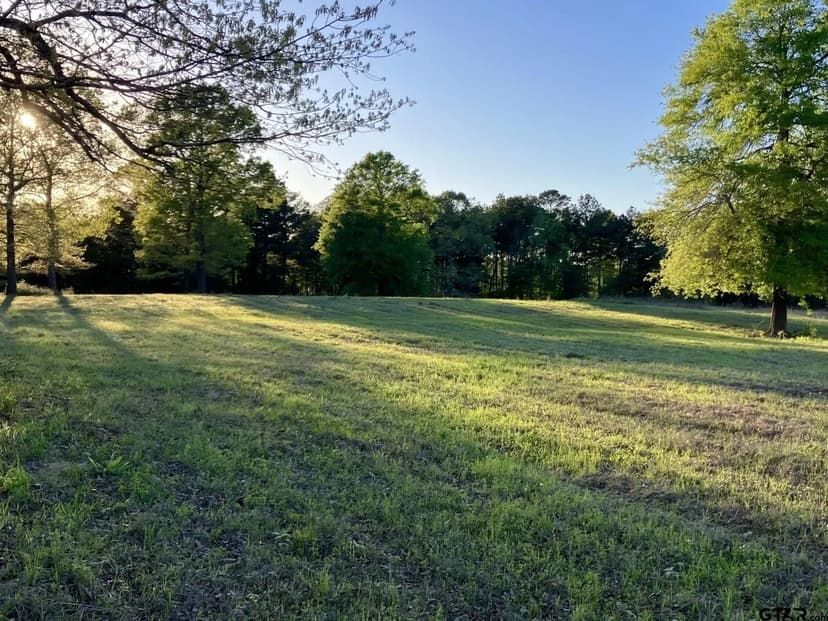Lots & Land-Other in Big Sandy