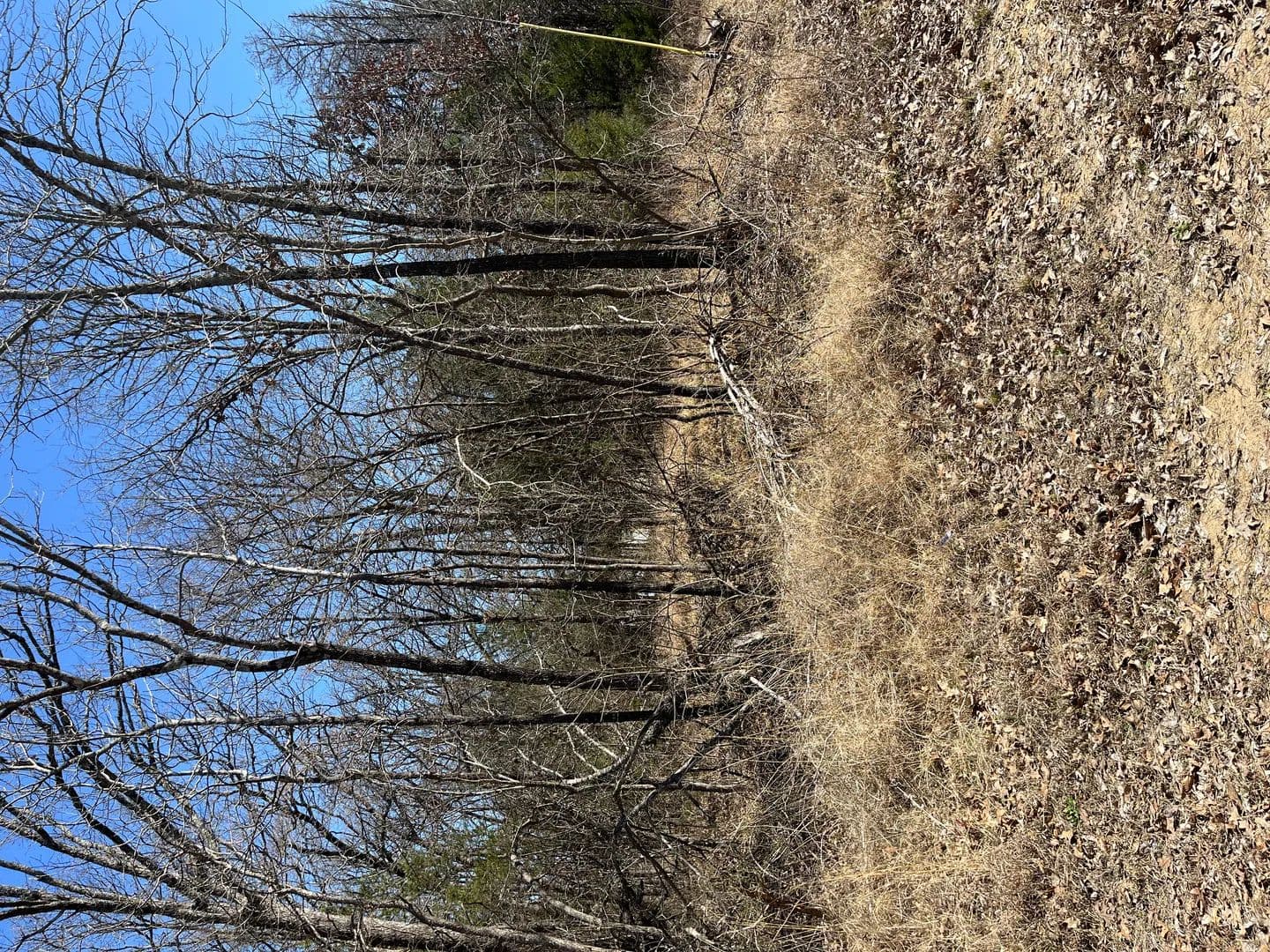 Land -Agricultural (Not Zoned) in Quinlan - Quinlan, Texas, 75474