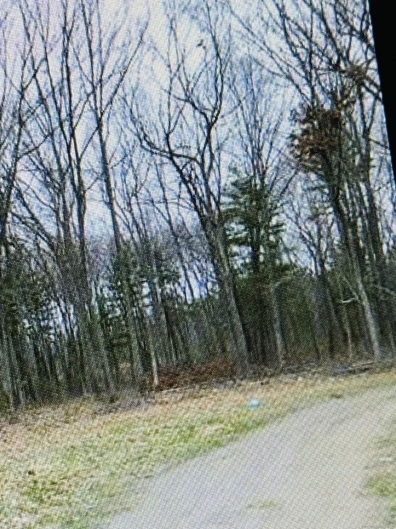 Vacant Land in Windsor