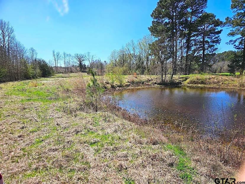 Lots & Land-Other in Hughes Springs
