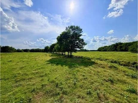 Vacant Land (10+ Acres) in Cooper - Cooper, Texas, 75432