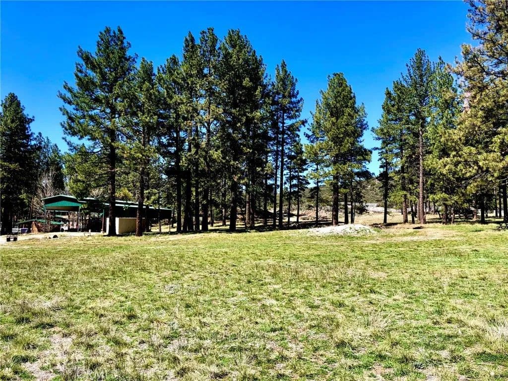 Vacant Land in Mountain Center - Mountain Center, California, 92561