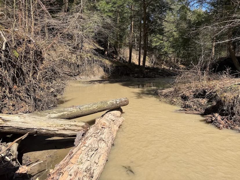 10.8 acres Hunting and Recreational Land with Building Lot in Gowanda NY Broadway Rd