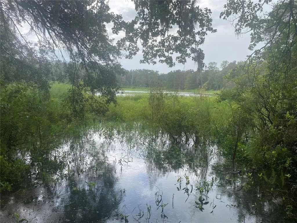Vacant Land in Gainesville - Gainesville, Florida, 32641