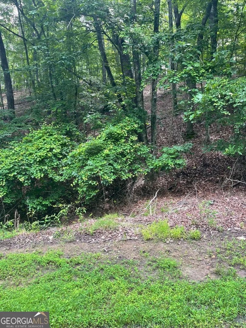 Vacant Land in Waleska - Waleska, Georgia, 30183