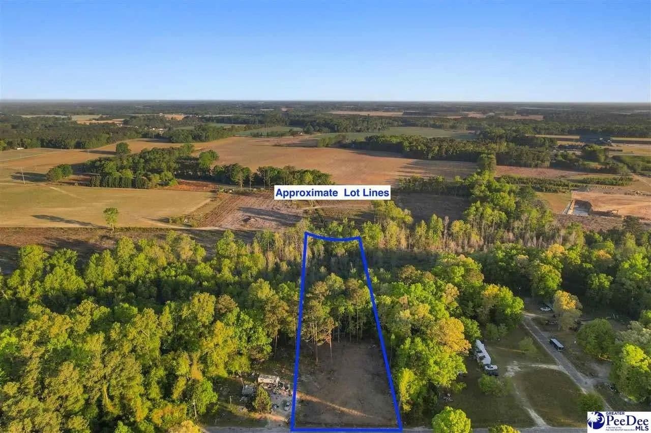 Lots & Land-Other in Darlington - Darlington, South Carolina, 29532