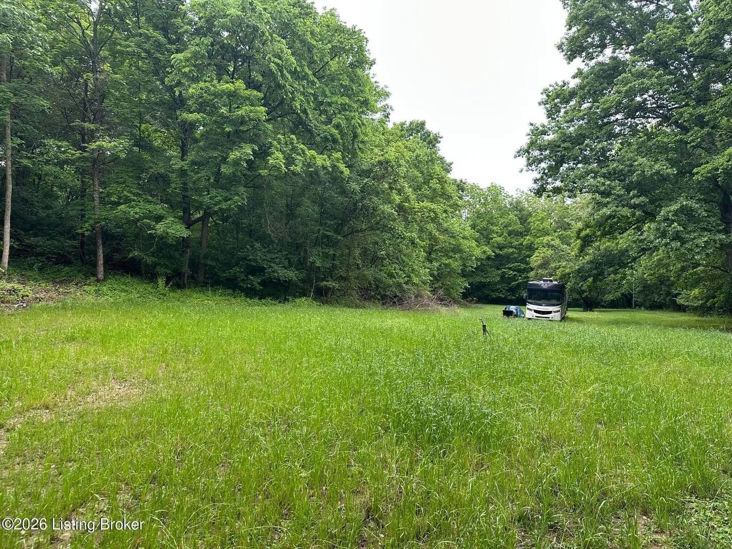 Vacant Land in Bloomfield - Bloomfield, Kentucky, 40008