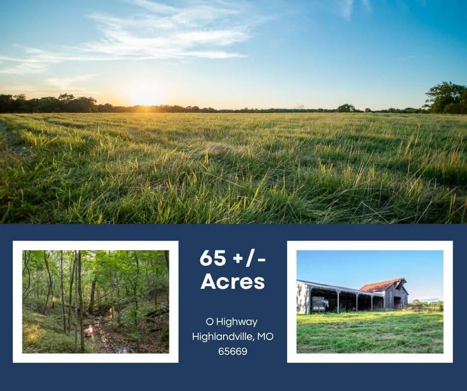 65 Acres of Land for Sale in Highlandville, MO - Highlandville, Missouri, 65669