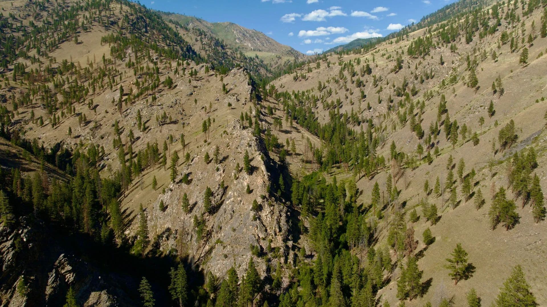 82.24 Acres of Land for Sale in Salmon, ID - Salmon, Idaho, 83467