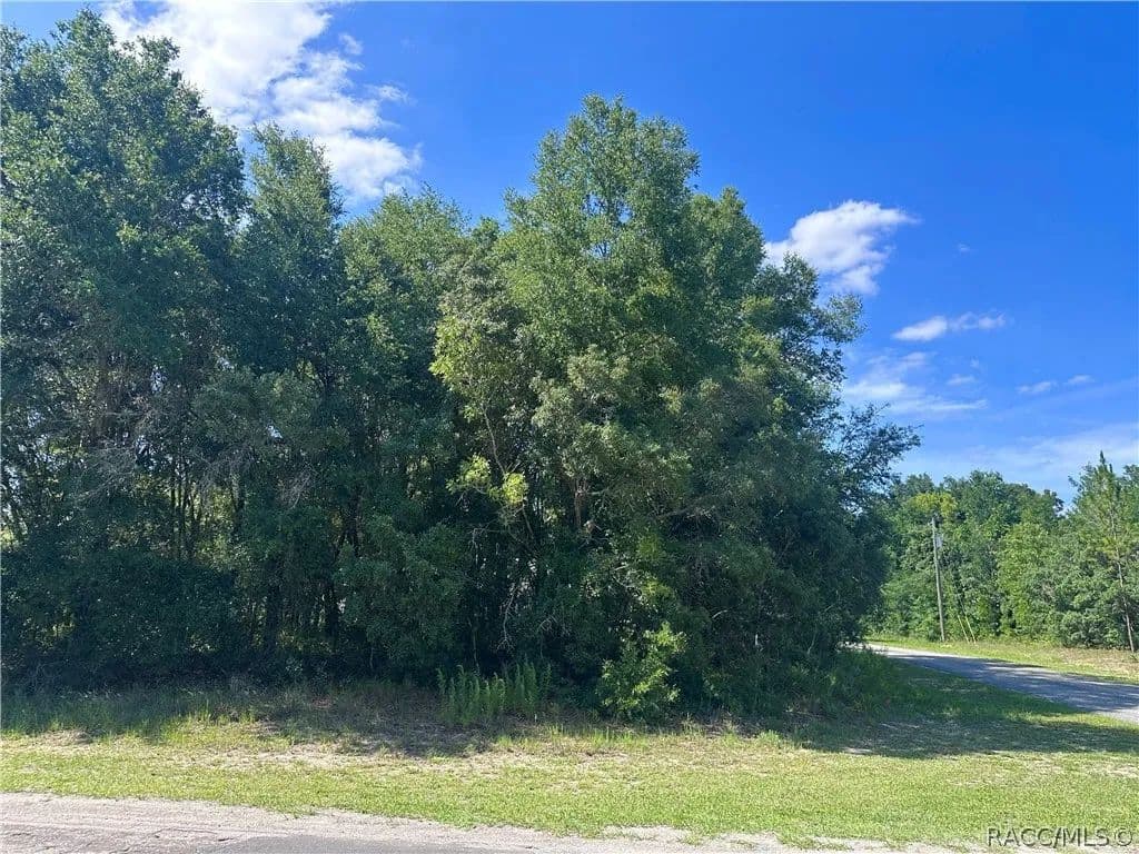 0.28 Acres of Land for Sale in Citrus Springs, Florida - Citrus Springs, Florida, 34434