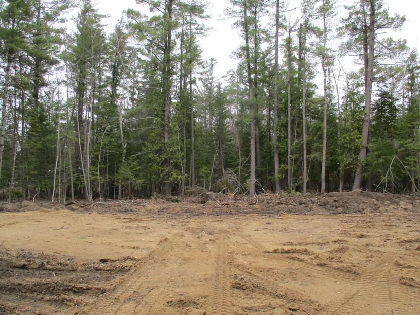 Lots & Land-Other in Grayling