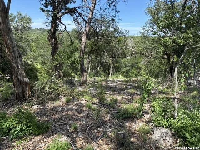0.15 Acres of Land for Sale in Spring Branch, TX - Spring Branch, Texas, 78070