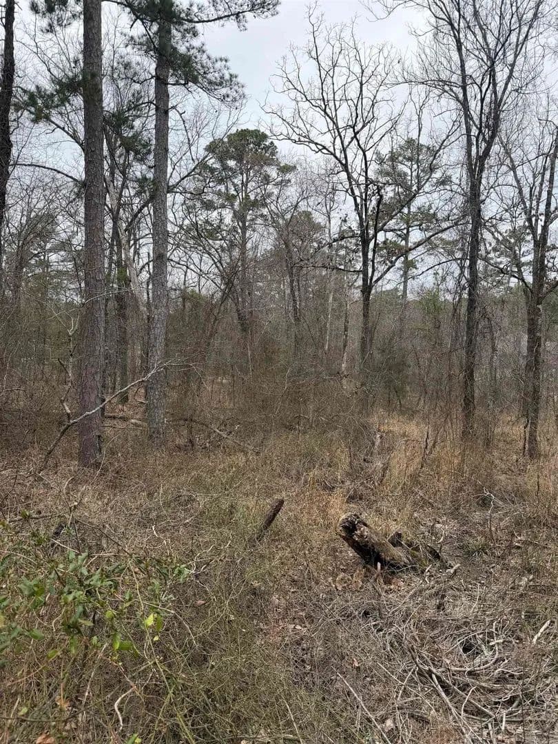 Lots & Land-Other in Hot Springs Village